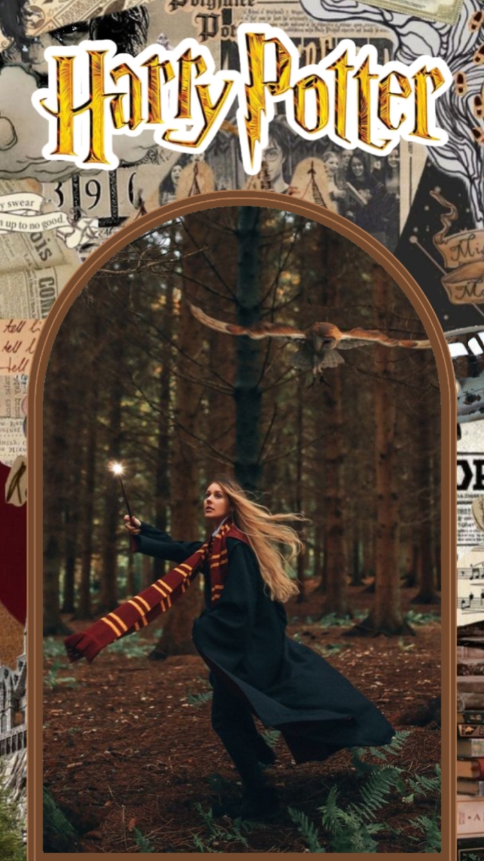 Dia De Harry Potter 