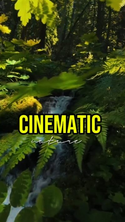 CINEMATIC NATURE 