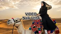 wisata naik unta