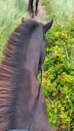 4k slowmotion 😻💞🙇🏻‍♀️