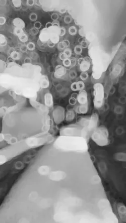 Sunny day☀️☀️