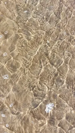 Wasser Filter