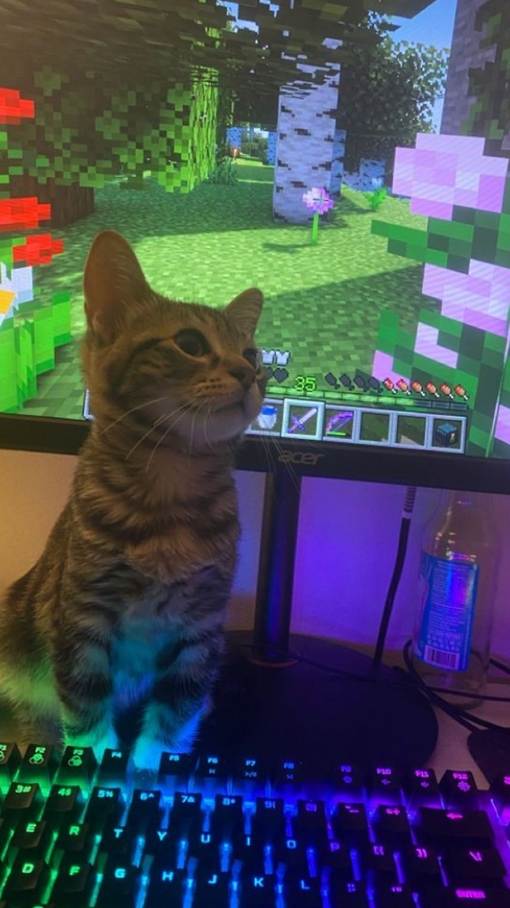 เรื่องราวในวันนั้น