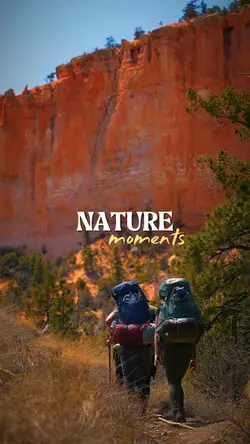 Nature Moments