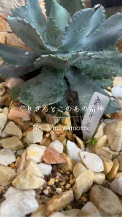 1つの動画で音ハメ