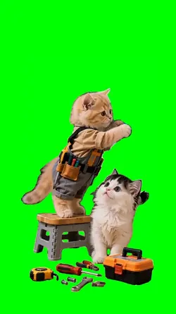 CAT REPAIRS MEME