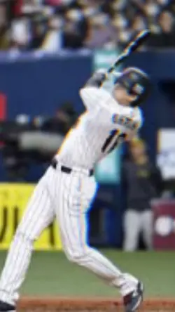 有名人などを紹介しよう