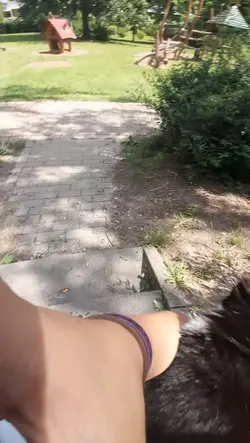 leben leben