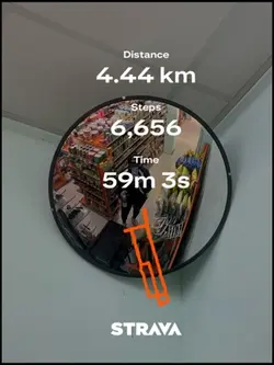 STRAVA WALKING TREND