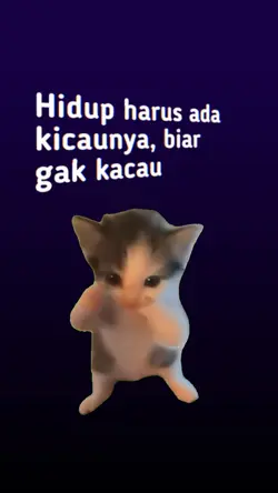 kicaw kicaw mania