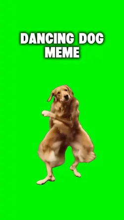 DANCING DOG MEME