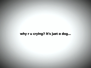 ¿¿¿PERRO???
