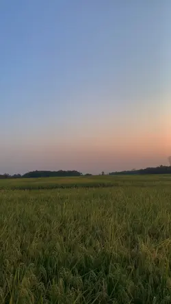 Rasah metu awan