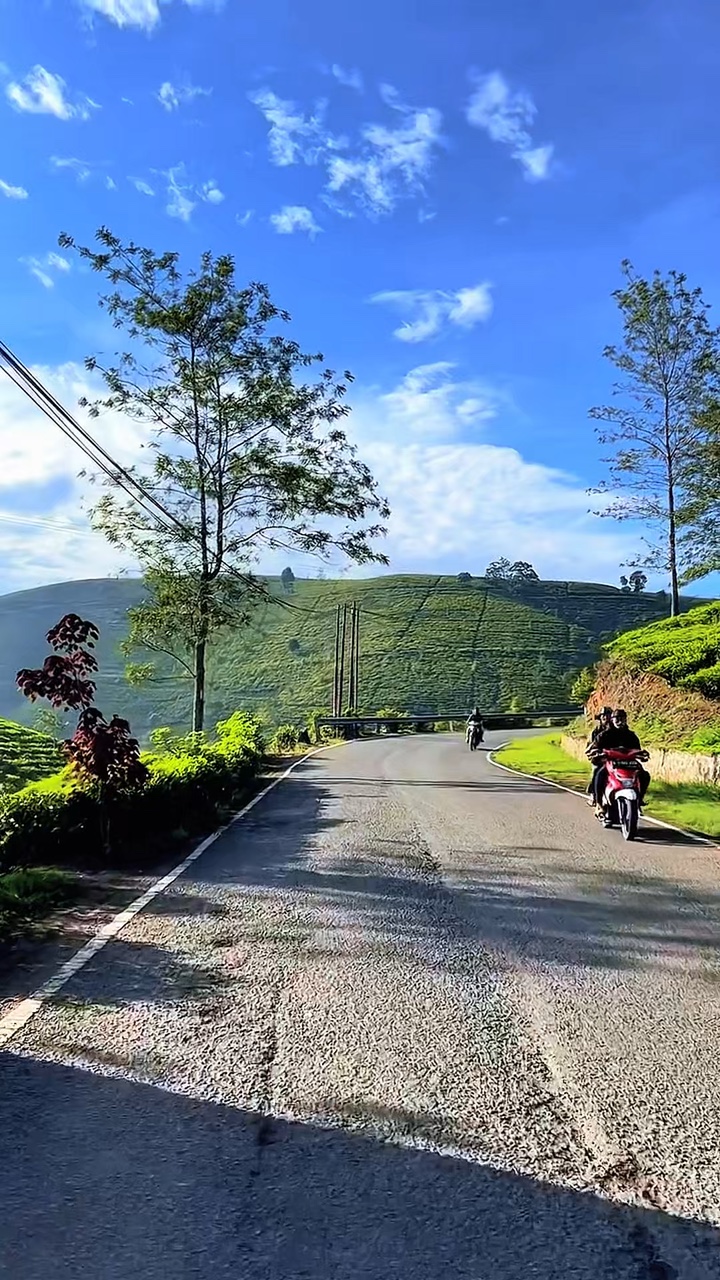 travel roadtrip