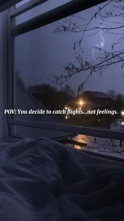 Flights Not Feelings