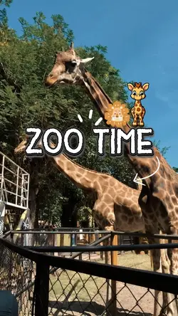 zoo time