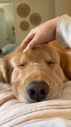 I love 