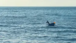 Thư giãn nhẹ nhàng