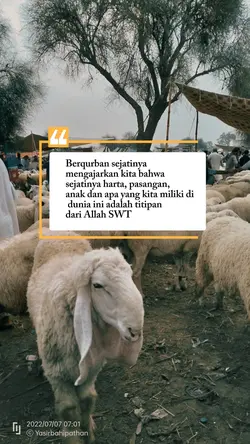 berqurban