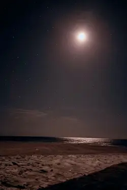 hard to say im sorry