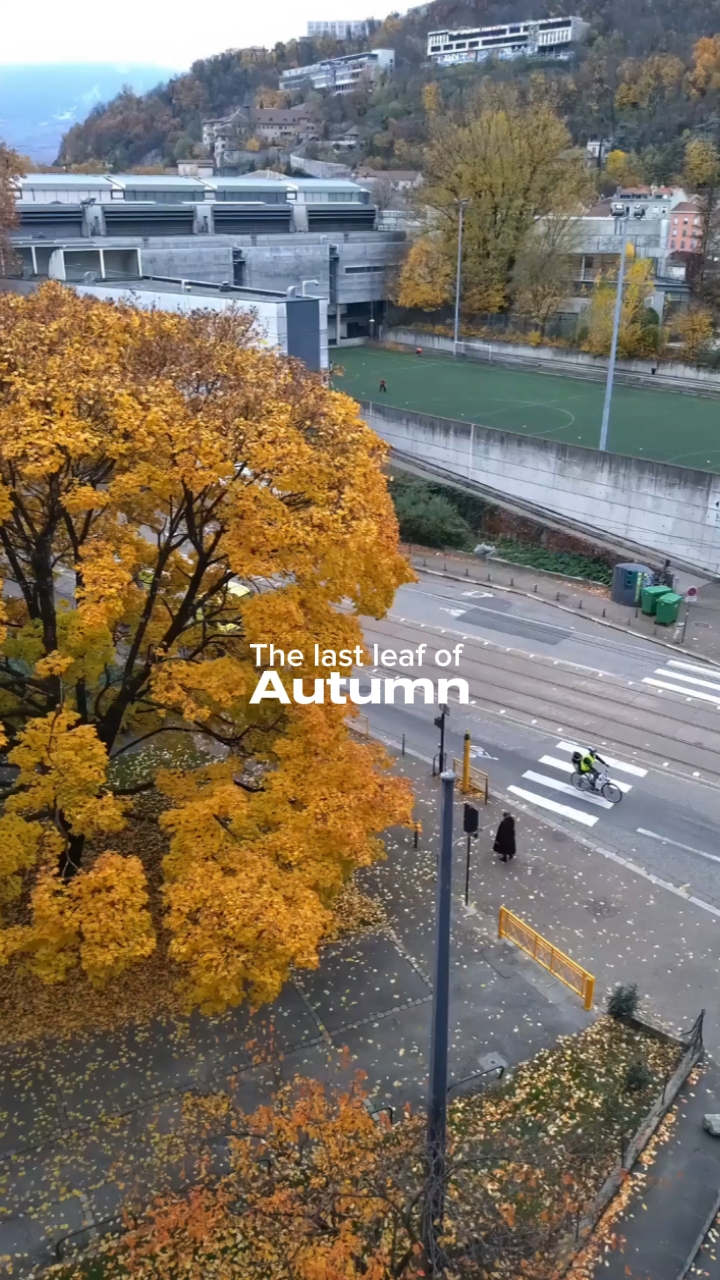 La dernière feuille de 
