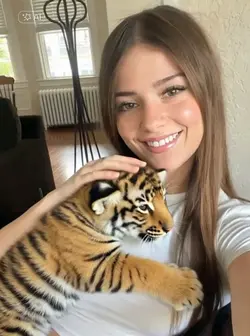 Litle tiger