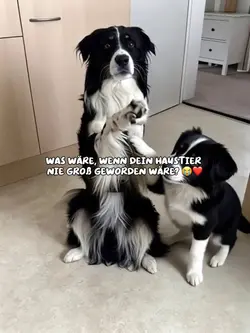 Mini Hund 