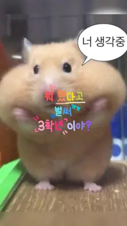 3학년 버전
