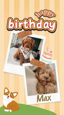 Birthday Pet