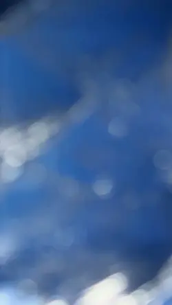 Edit 244