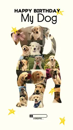 Happy birthday dog