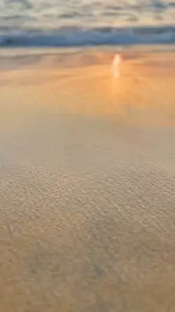 เริ่มต้น