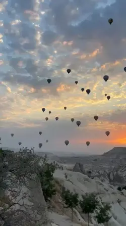 Hayat...