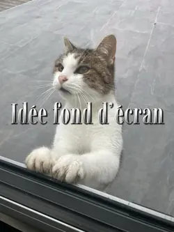 Idée fond d’écran