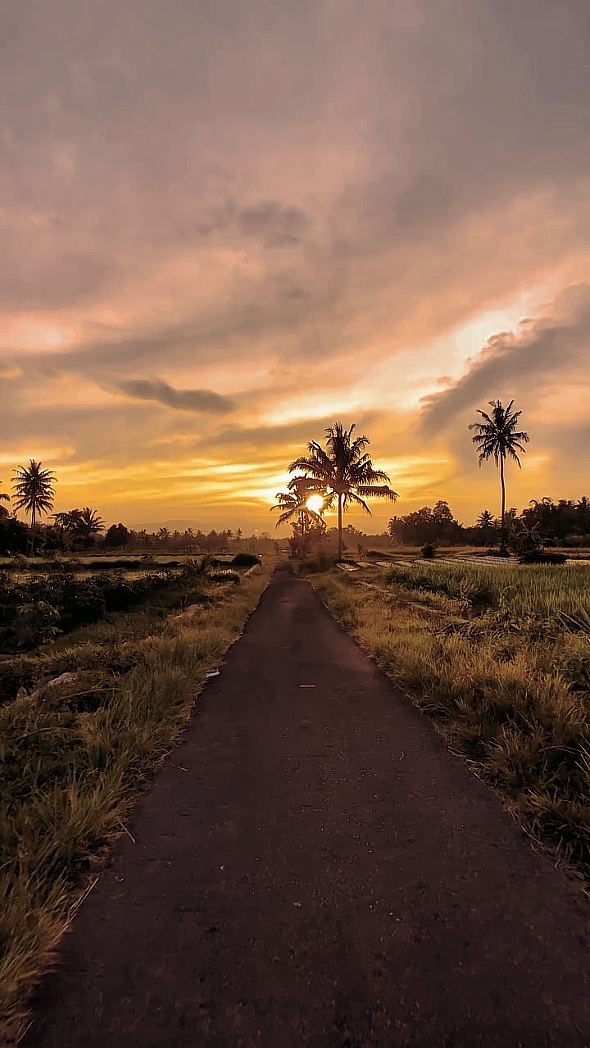 1 video de klip