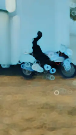 বাইক লাভার কোই রে 😍