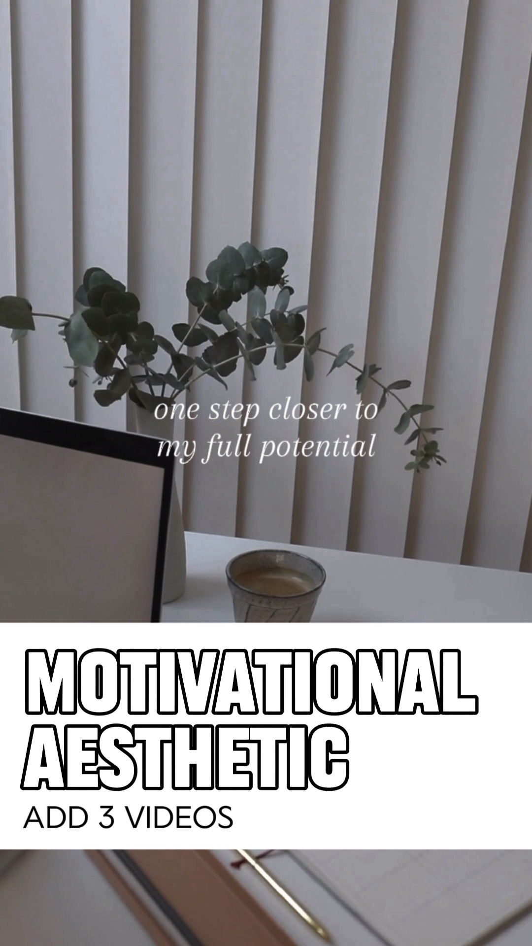 Aesthetic Motivation