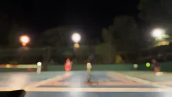 Pickleball Night