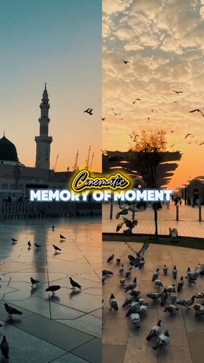 Memória do Momento 