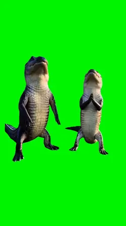 aligators dance