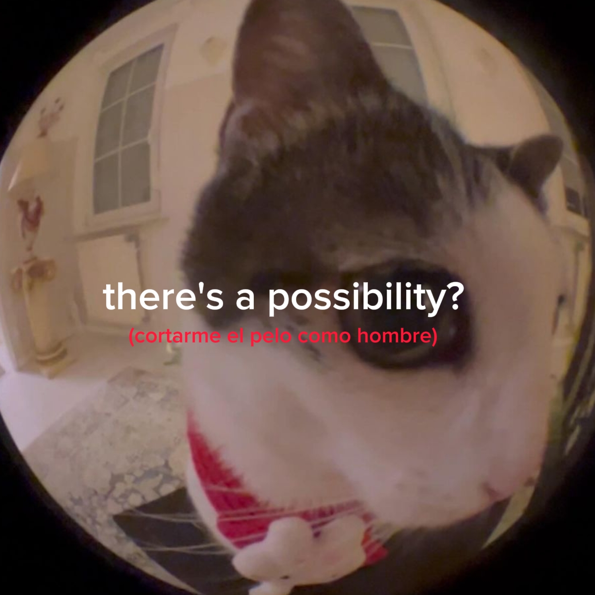 there's a posibility