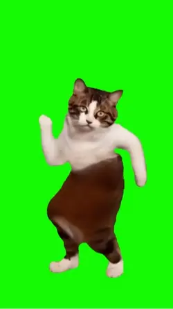 Dancing Cat Meme