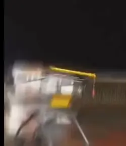 Einkaufswagen Edit