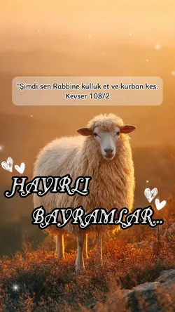 Hayırlı Bayramlar 