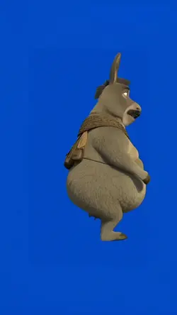 Bombaye Donkey