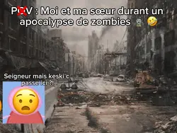 🤣🤣🤣