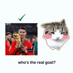 Team Ronaldo Goat