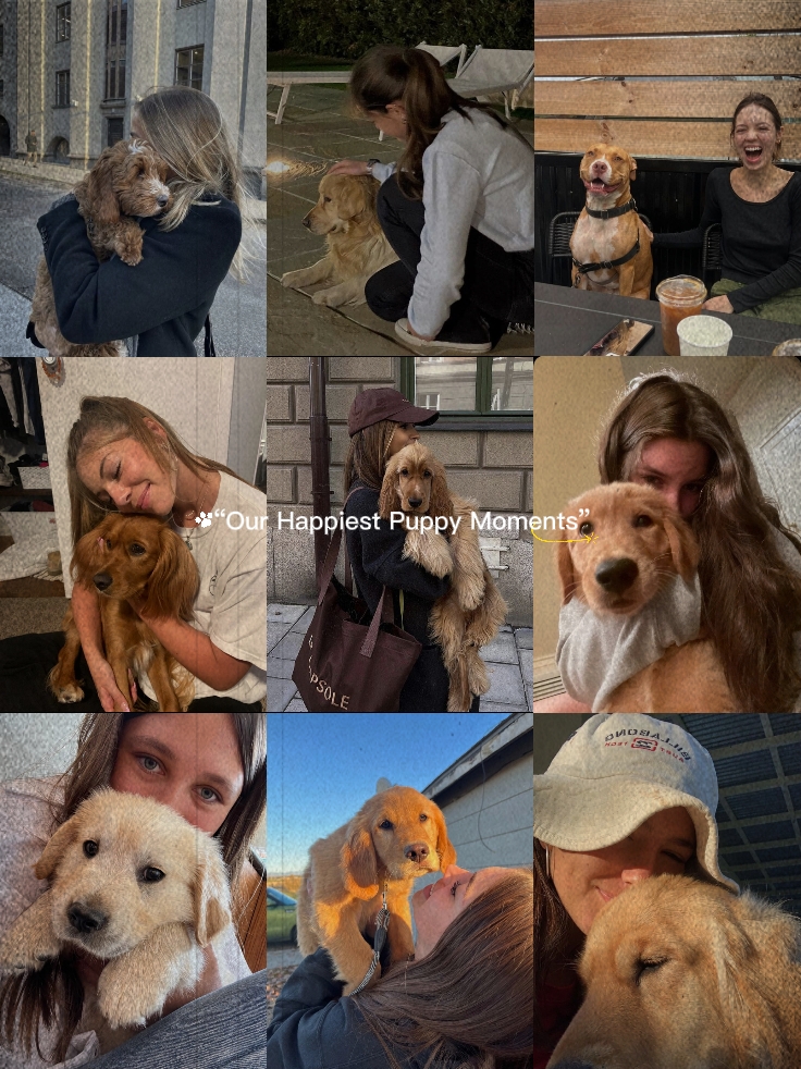mes moments de chien