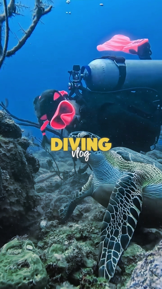 diving vlog 