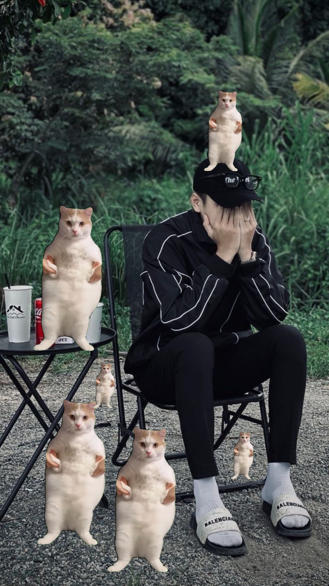 Hahah comel trend😹